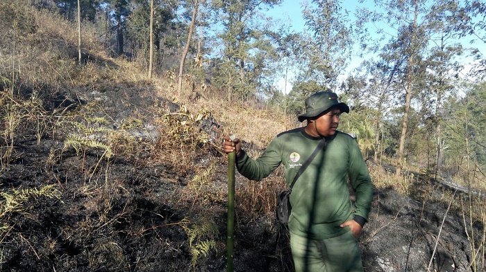 Tanaman Hutan Di Gunung Ngawi Ludes Akibat Karhutla