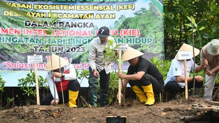 1000 Pohon Mangrove Ditanam Untuk Cegah Tsunami Di Malang Selatan