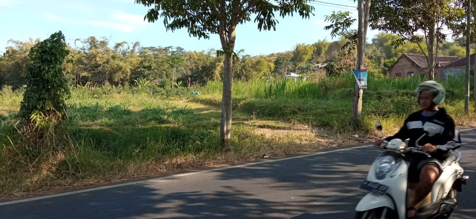 Imbas Air Tercemar  Petani Batu Tak Lagi Tanam Padi