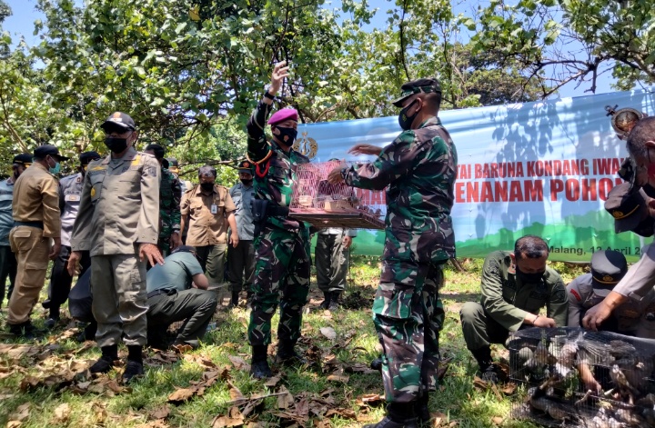 Aksi Nyata Pelestarian Lingkungan, Dankolatmar Tanam Seribu Pohon