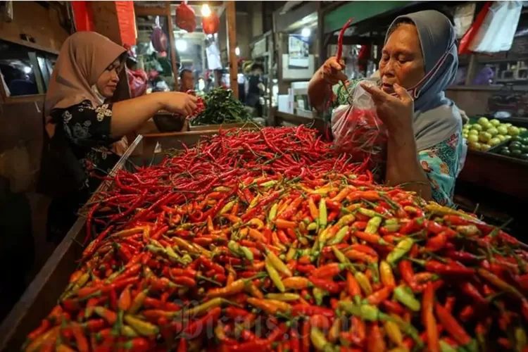 Harga Cabai Di Blitar Termurah Se Jawa Timur