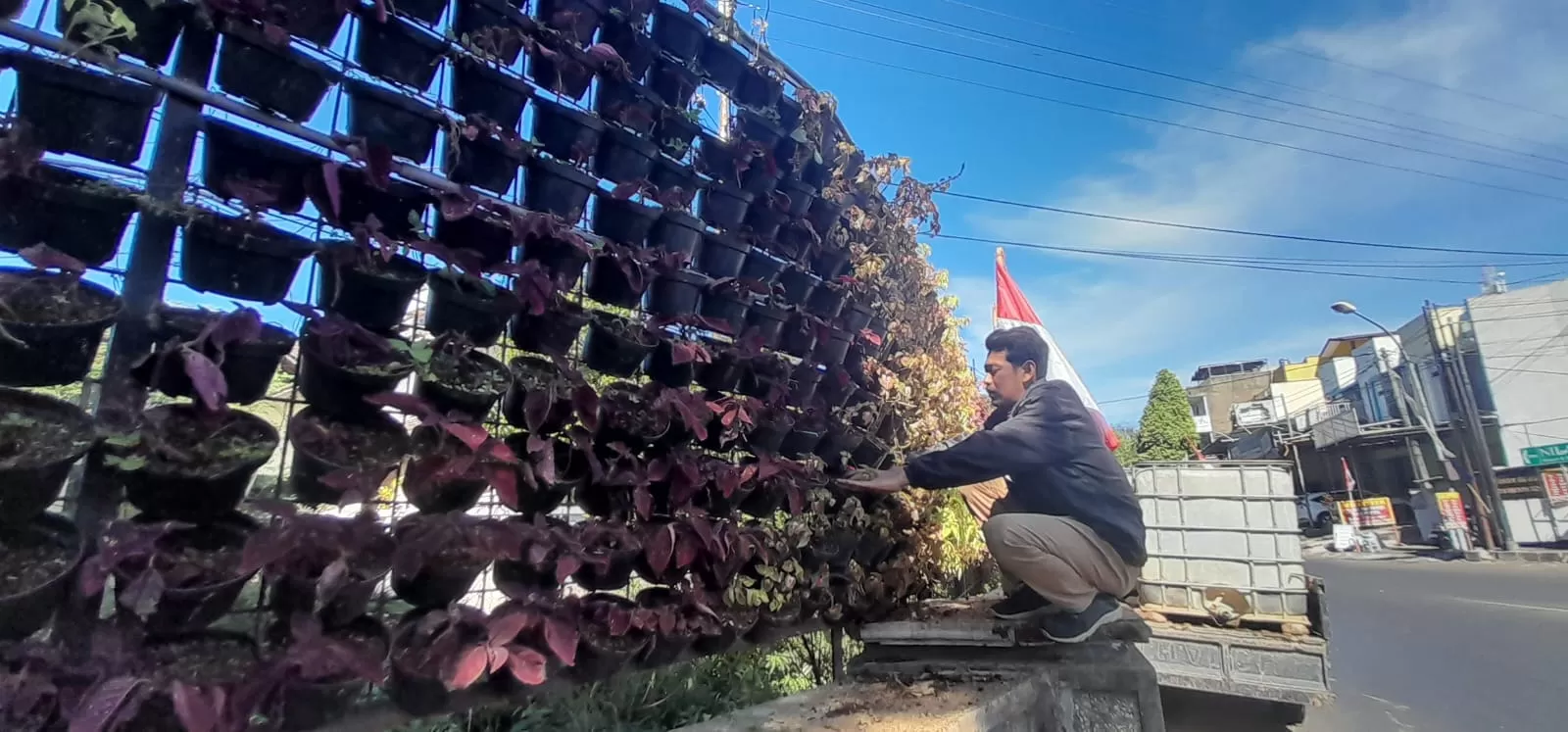 Vertikal Garden Di Kota Batu Banyak Yang Tidak Terawat