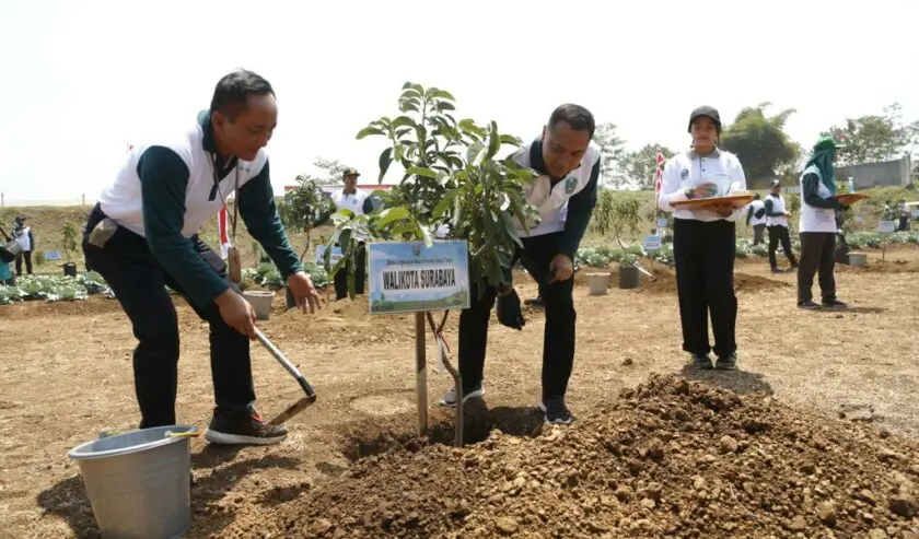 Surabaya Borong Penghargaan Edisi Hari Lingkungan Hidup Sedunia