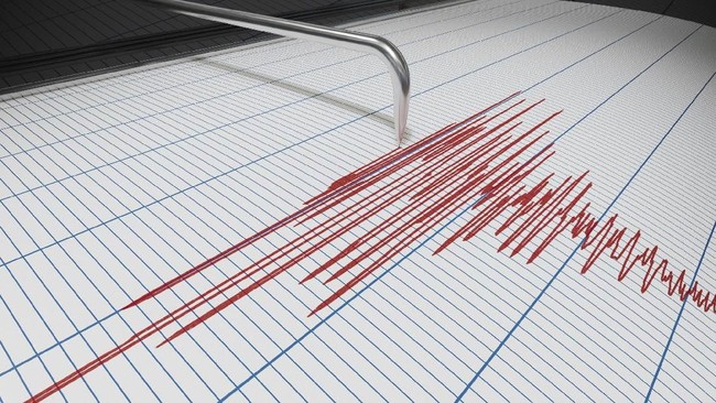 Gempa Bumi 5,1 Magnitudo Mengguncang Gorontalo