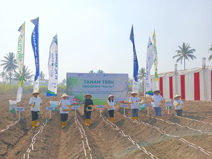 Jawa Timur Jadi Lumbung Gula Nasional