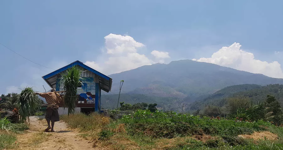 Kebakaran di Gunung Lawu Sudah Mereda