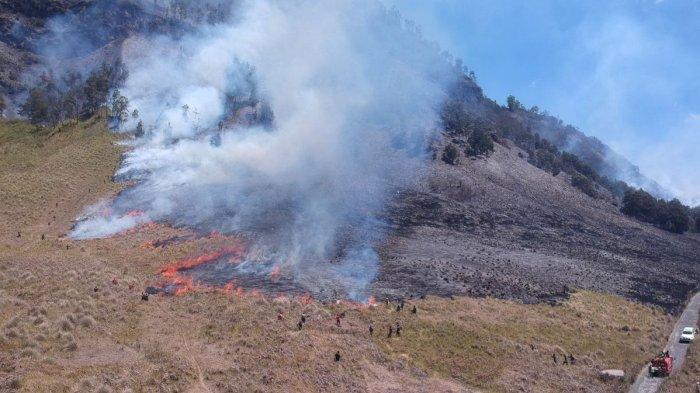 Wisata Bromo Kembali Dibuka Usai Kebakaran  