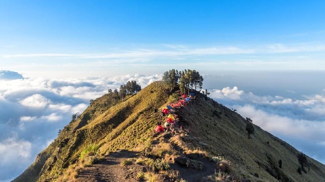 2 Jalur Pendakian Gunung Rinjani Ditutup Imbas Kebakaran Hutan