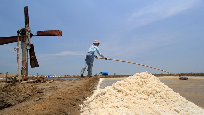 Petani Madura Surati Jokowi Untuk Bentuk Lembaga Stok Garam