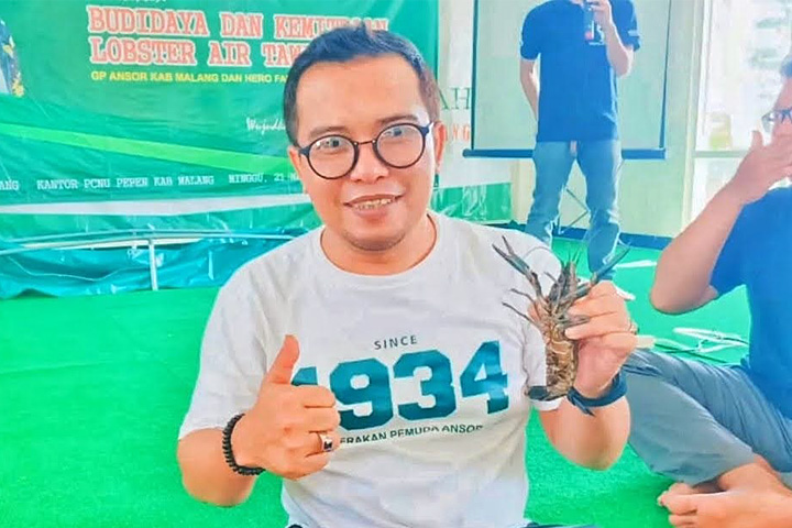 Ansor Kabupaten Malang Latih Kadernya Budidaya Lobster, Bagaimana Hasilnya