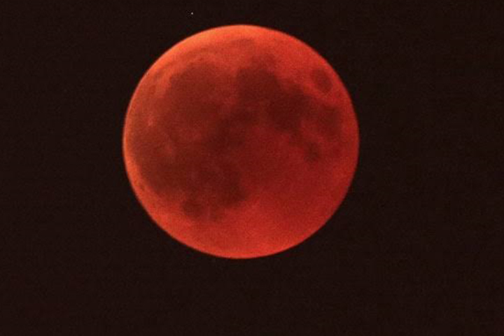 Bulan Berdarah, Fenomena 195 Tahun Bisa Dinikmati Malam Ini