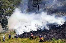 Jalan Tembus Cemoro Sewu-Sarangan Didekati Karhutla Gunung Lawu