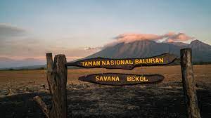 Taman Nasional Baluran Situbondo Alami Kebakaran