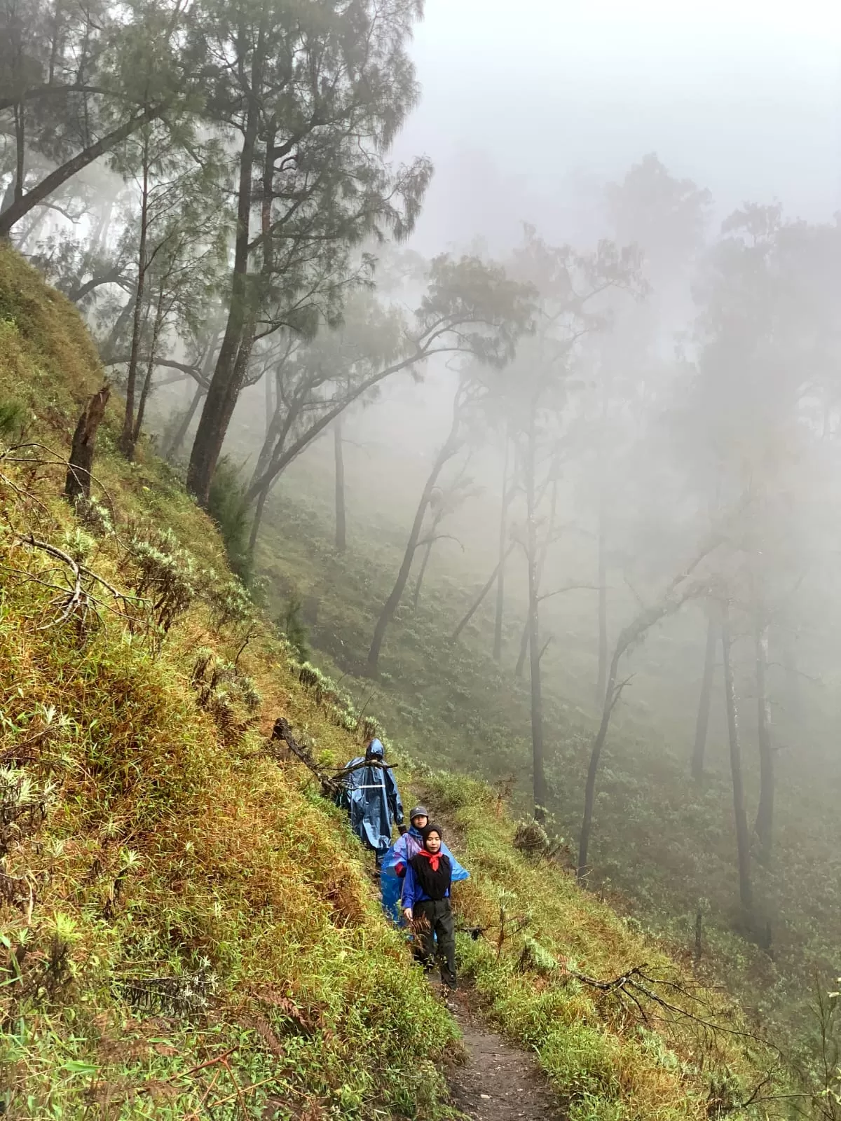 Wisatawan Pendaki Gunung di Kota Batu Cukup Banyak