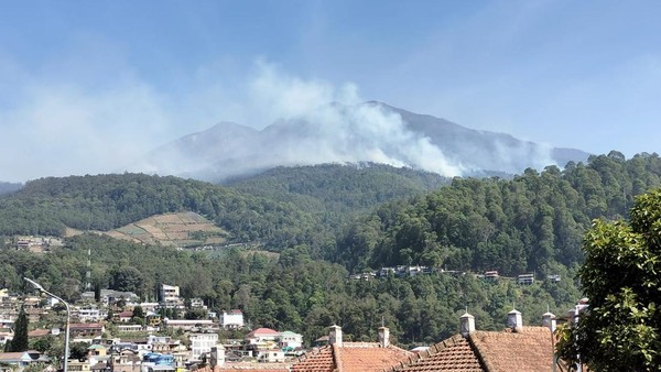 BPBD Jatim Kirim Bantuan Dan Pasukan Pemadaman ke Gunung  Lawu