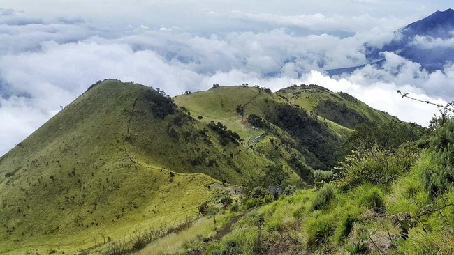 Gunung Merbabu Alami Kebakaran Hutan