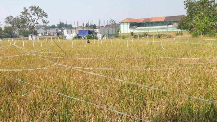 Dewan Bakal Telusuri Aduan Rumitnya Izin Site Plan di Kabupaten Malang