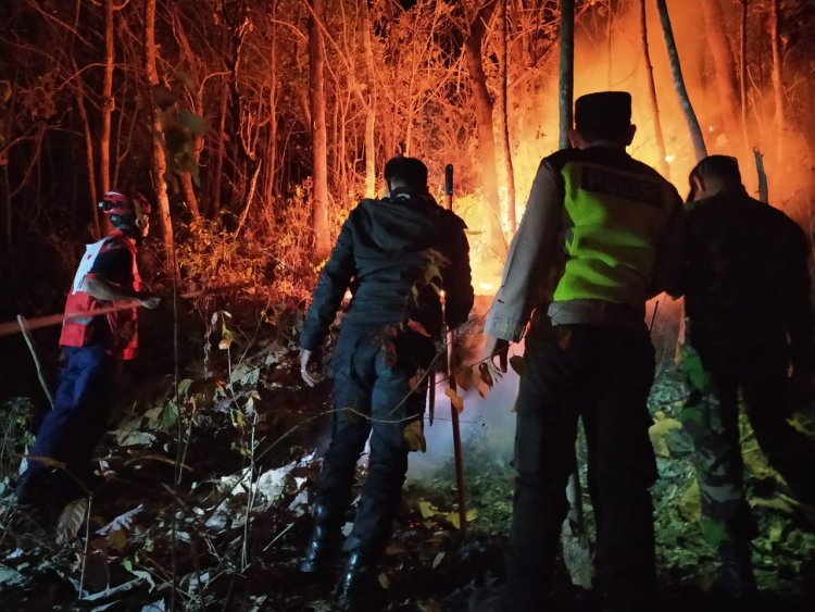 Hutan Jati Kabupaten Magetan Semalam Terbakar