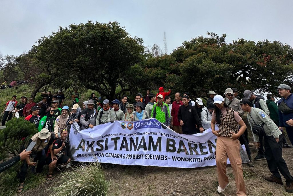 Aksi Tandur Bareng Dilakukan Pasca Karhutla Bromo