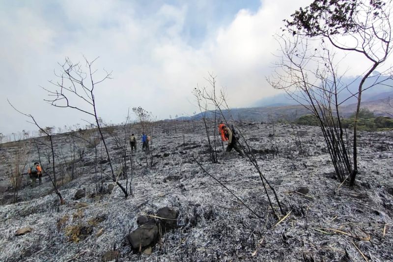 Akses Wisata Ke Gunung Arjuno Dan Welirang Ditutup