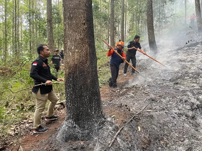 Pemulihan Imbas Karhutla Mulai Dilakukan di Gunung Bromo, Arjuno dan Lawu