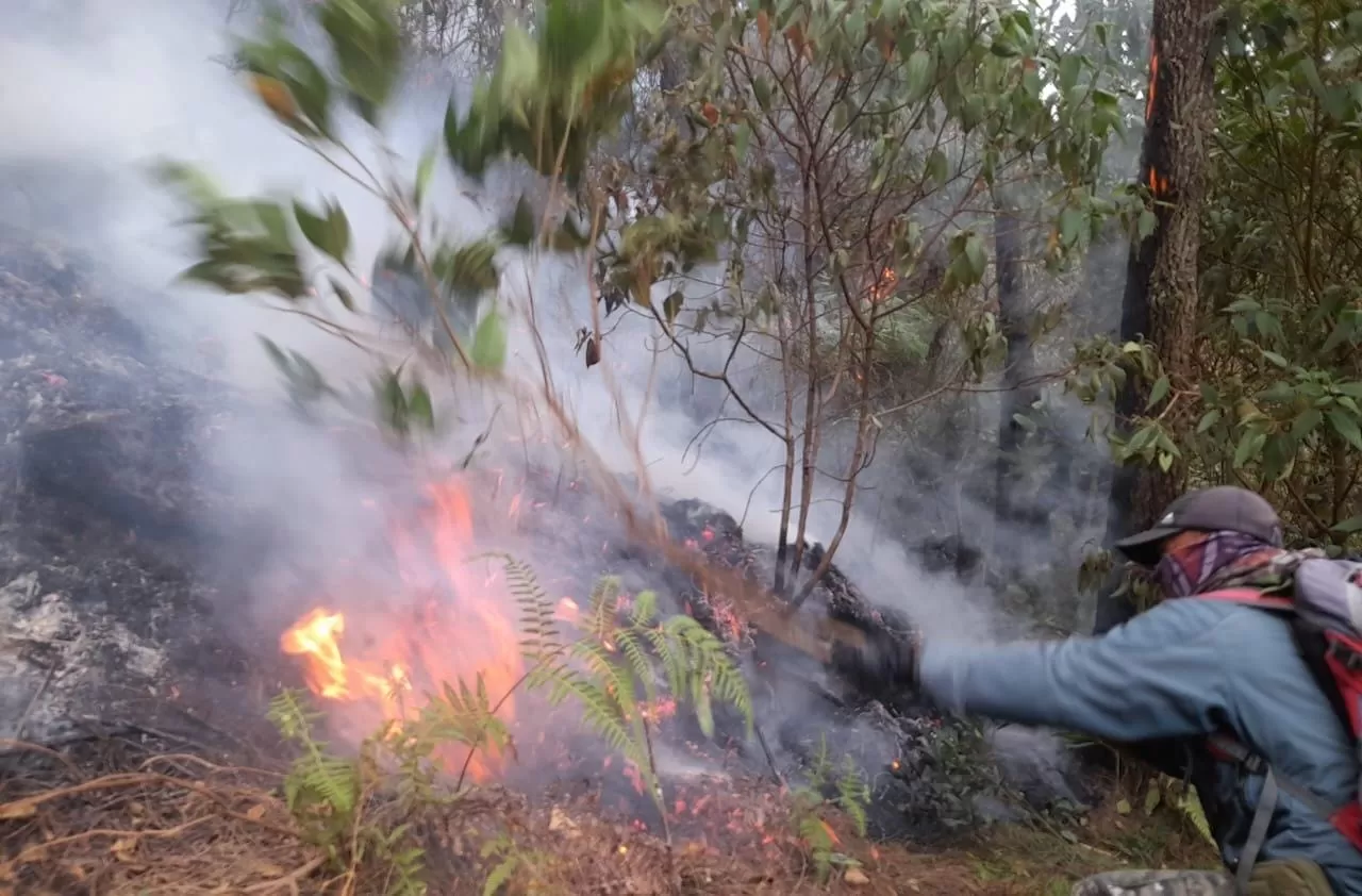 Kebakaran di Lereng Gunung Anjasmoro Mojokerto Berhasil di Padamkan