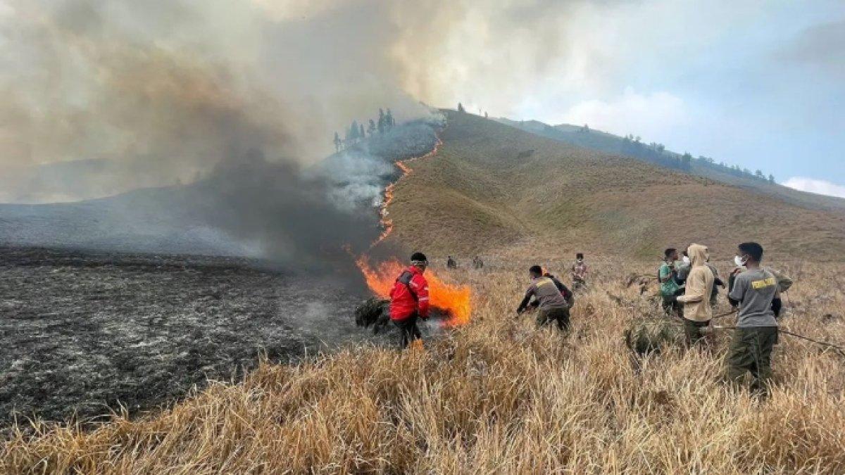 Kebakaran Di Bromo Berimbas Putusnya Aliran Air Bersih Ke 6 Desa