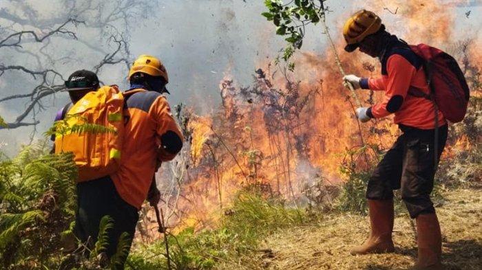 Polres Malang Periksa 3 Saksi Kasus Kebakaran Gunung Arjuno