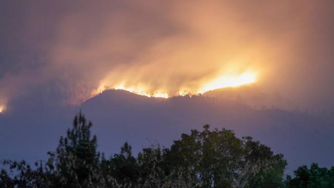 BPDB Kota Batu Mencatat Kebakaran Lereng Arjuno Tahun Ini Semakin Meluas