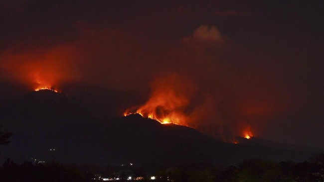 Penyebab Kebakaran Gunung Lawu Masih Diselidiki