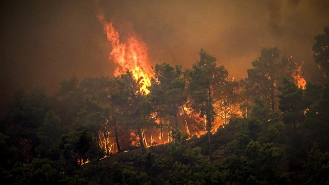 ANAK GUNUNG PENANGGUNGAN TERBAKAR