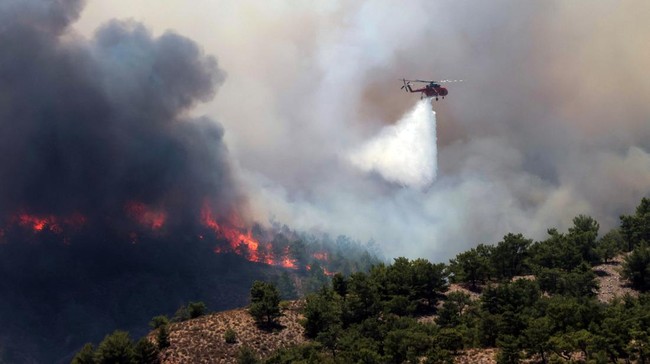 Dua Pilot Tewas Saat Padamkan Kebakaran Hutan Yunani