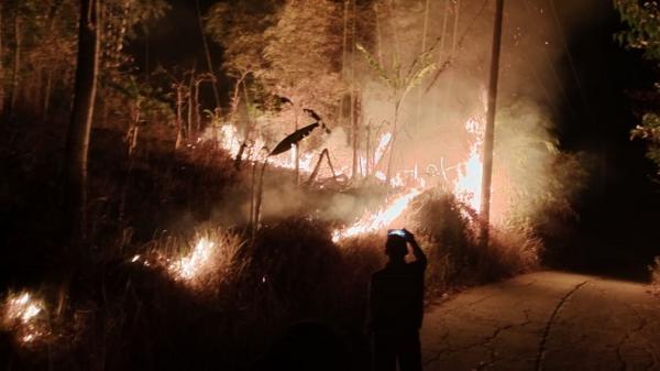 Api Masih Berkobar Di Gunung Papandayan