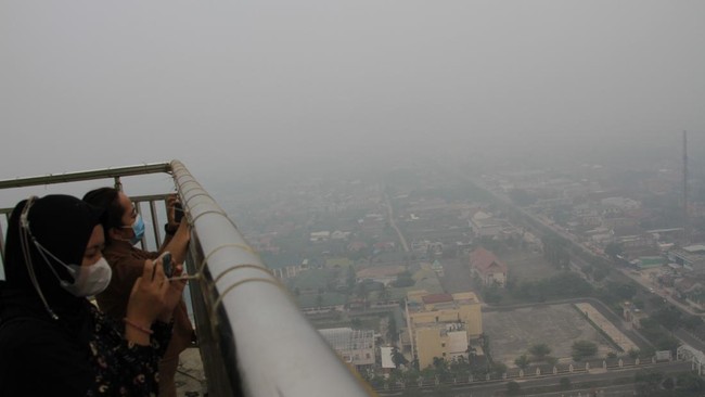 Pemprov Kalteng Tetapkan Darurat Karhutla