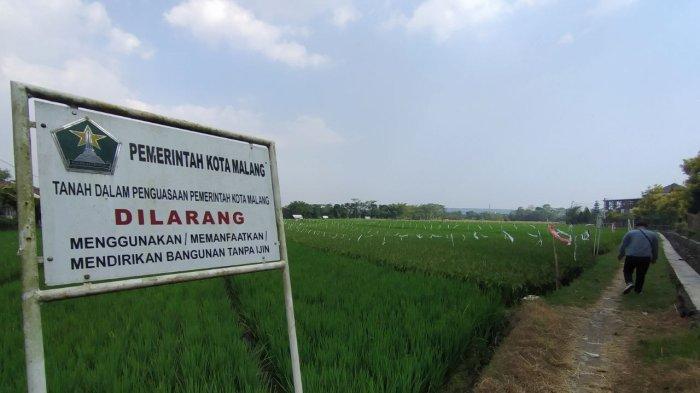 Walikota Malang Klaim Stok Pangan Di Kota Malang Aman