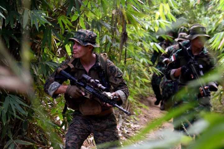 Marinir Indonesia dan AS Telusuri Hutan Tumpang Pitu, Cari Apa?