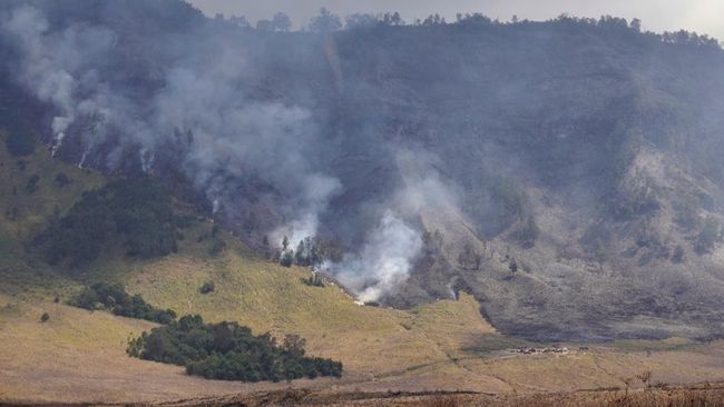 Imbas Kebakaran Meluas, Seluruh Akses Menuju TNBTS Tutup Total