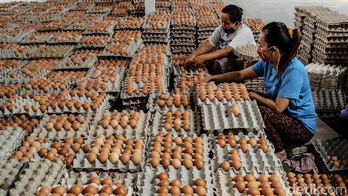 Koperasi Berkah Telur Diresmikan Wabup Blitar Rahmat Santoso