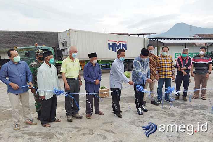 Petani Bulukerto, Ekspor Sayuran 26 Ton ke Taiwan