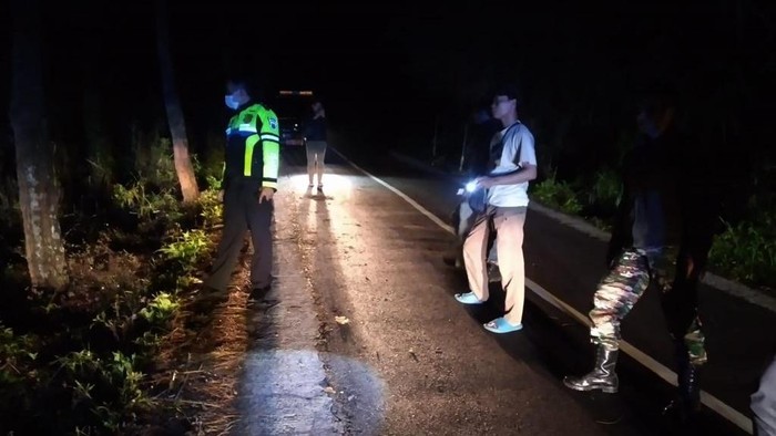 Dua Orang Tewas Tabrak Pohon Sepulang Dari Bromo