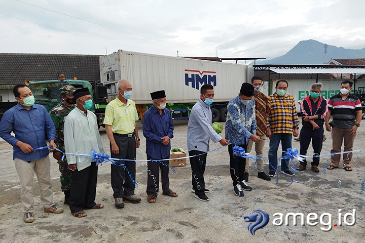 Sayuran Kota Batu Tembus Taiwan, Begini Harapan Petani