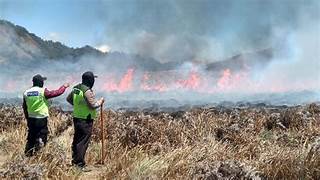 Kerugian Kebakaran Gunung Bromo Capai 89 Miliar