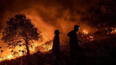 Kebakaran Hutan Di Hawai Menewaskan Beberapa Orang