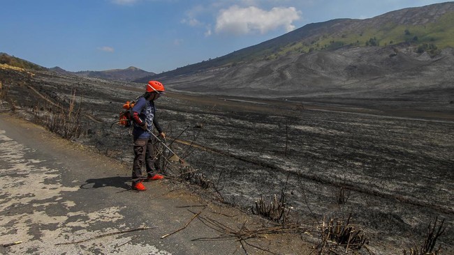 TNBTS Sebut Kerugian Imbas Kebakaran Gunung Bromo Hampir 9 Miliar