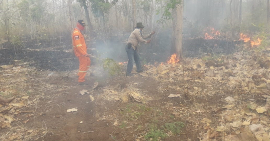 Pasca Kebakaran Taman Baluran Situbondo Akan Dibuka Besok