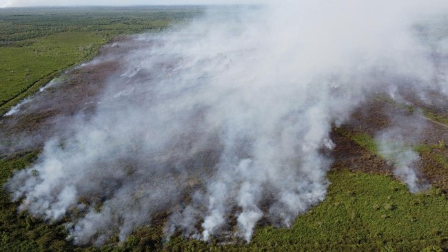 Ratusan Hektare Lahan di Jambi Terbakar Sepanjang Tahun Ini