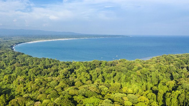 Taman Nasional Ujung Kulon Resmi Jadi Geopark Nasional